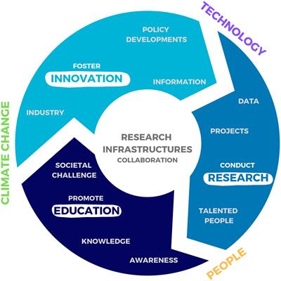 The role of the marine research infrastructures in the European marine observation landscape: present and future perspectives